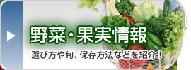 松山市中央卸売市場の旬の野菜